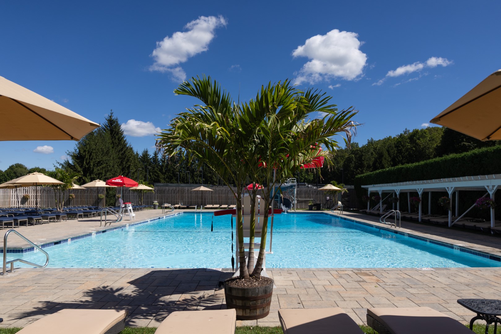 R5II8886_Rockaway River Club-Pool